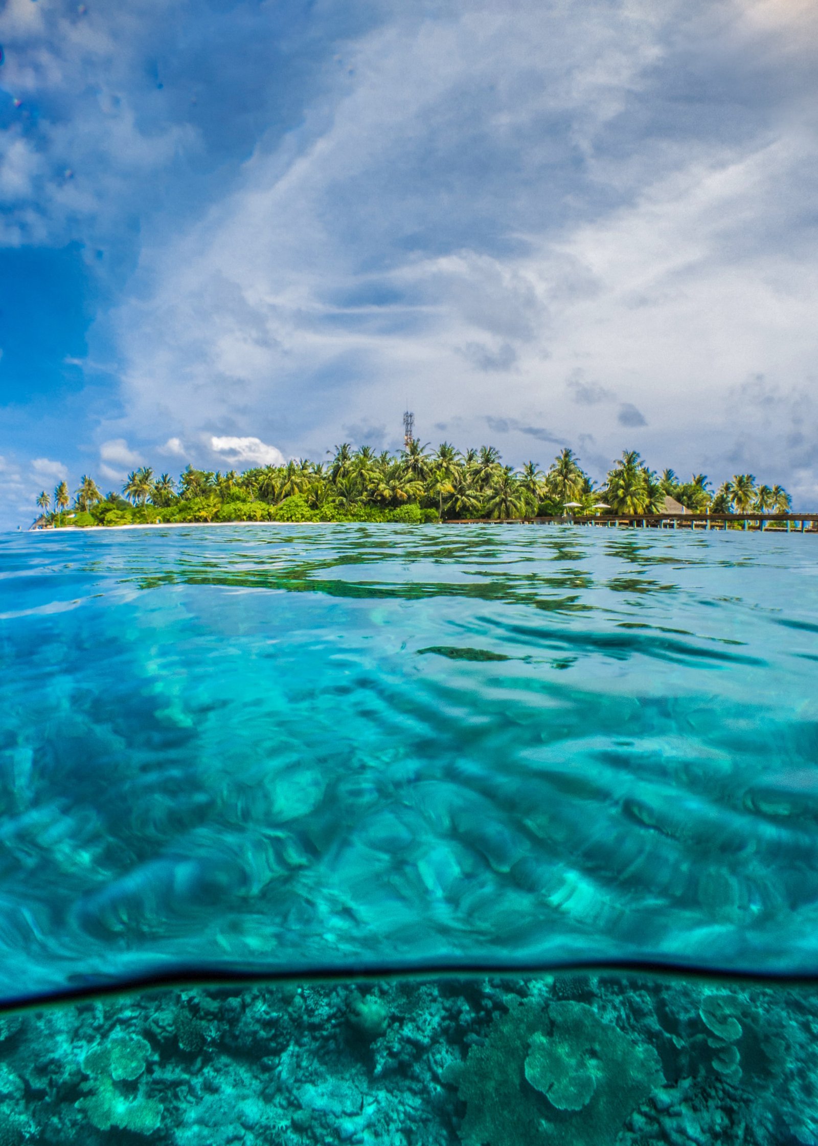 Palm island seen split over and under the waterline